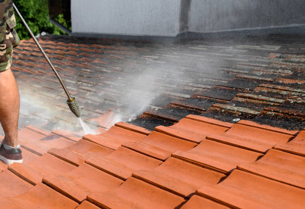 Best Sidewalk Pressure Washing  in Clermont, FL